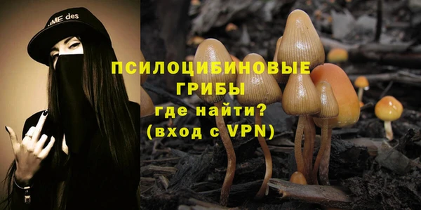 мет Протвино