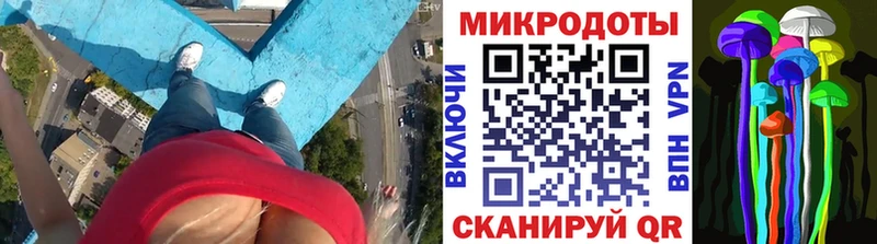 Псилоцибиновые грибы Psilocybe купить наркотики цена Ивантеевка